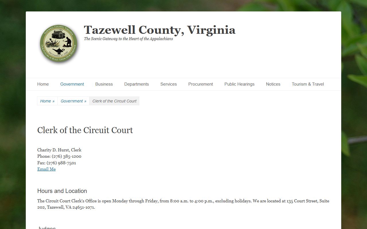 tazewell county 29th judicial circuit case search